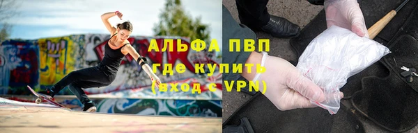 ПСИЛОЦИБИНОВЫЕ ГРИБЫ Белокуриха