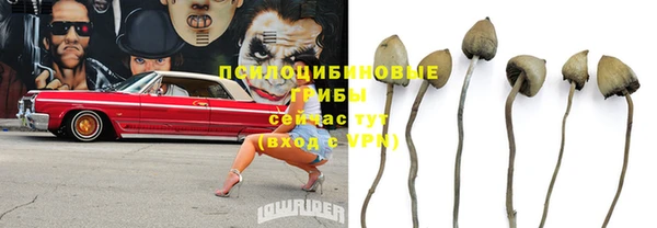ешки Белоозёрский