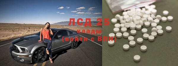 ПСИЛОЦИБИНОВЫЕ ГРИБЫ Белокуриха