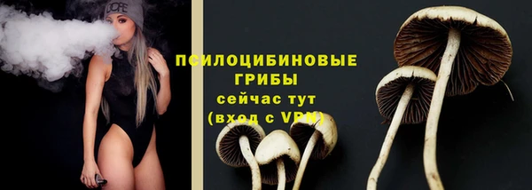 ешки Белоозёрский