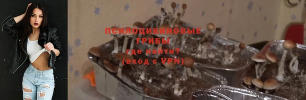 ПСИЛОЦИБИНОВЫЕ ГРИБЫ Белокуриха
