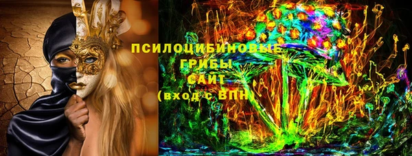 ПСИЛОЦИБИНОВЫЕ ГРИБЫ Белокуриха